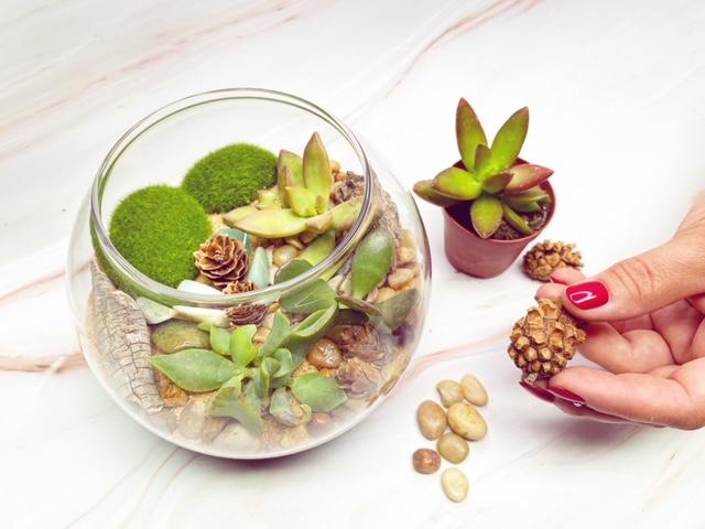 Build a Fall Terrarium -- Craft Bash Style